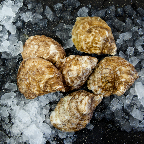 Fresh Raspberry Point Oysters Product Image